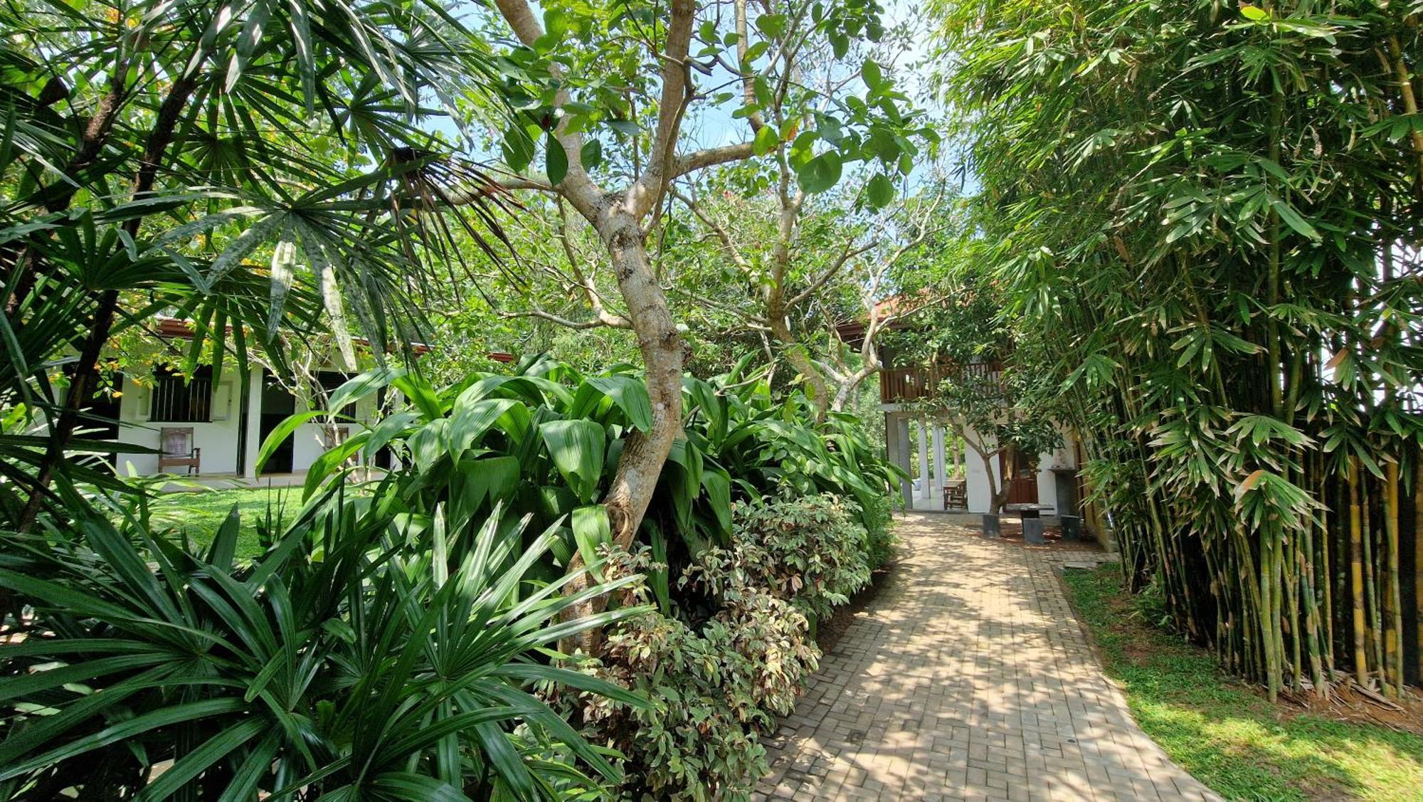 Villa Arana Bentota Extérieur photo