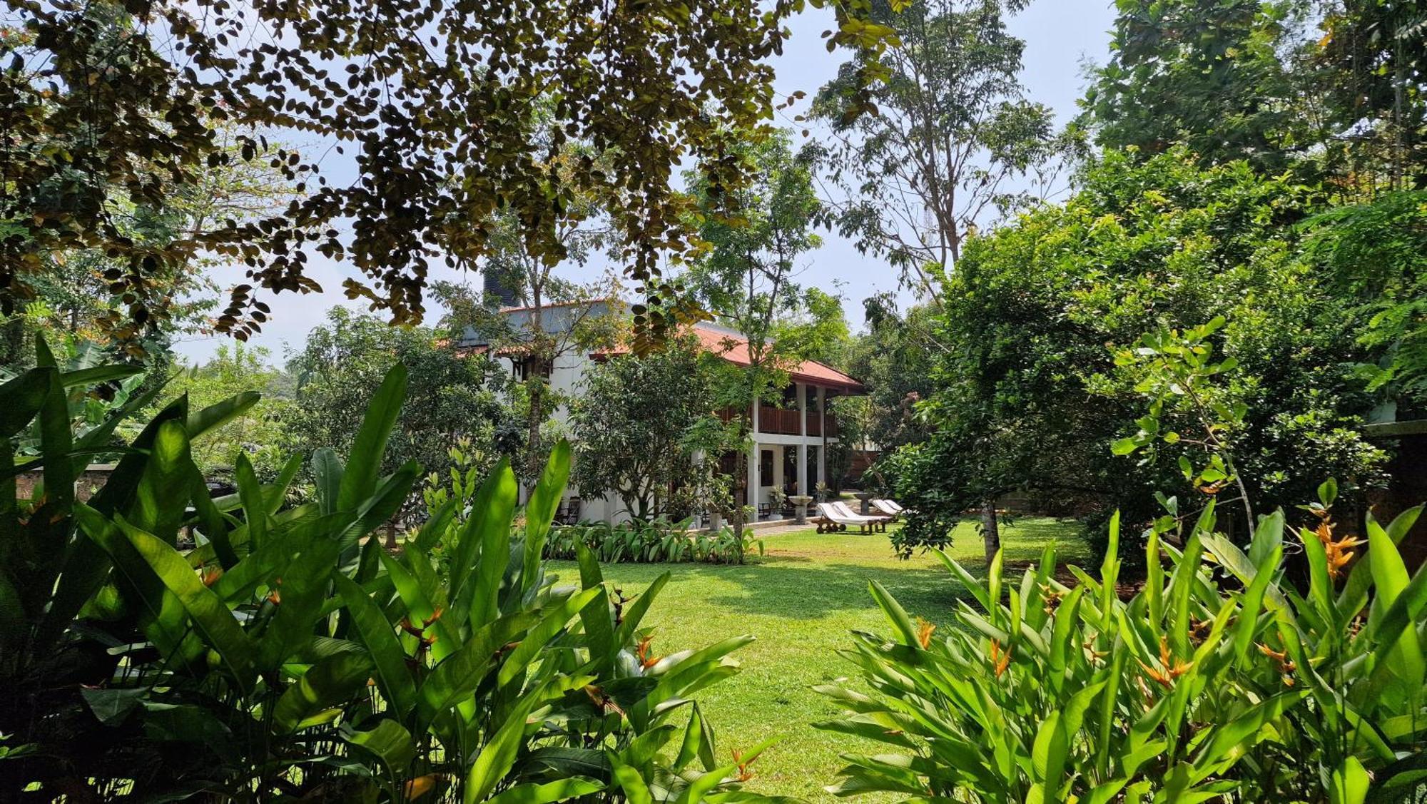 Villa Arana Bentota Extérieur photo