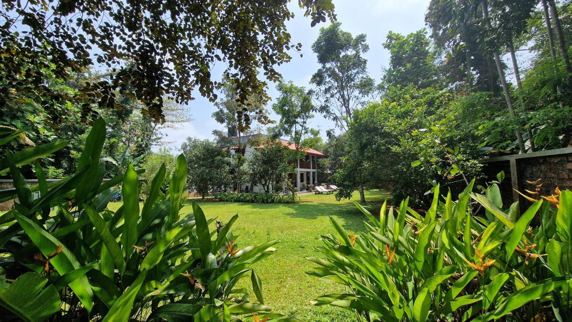 Villa Arana Bentota Extérieur photo